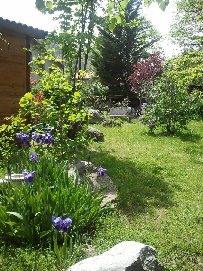 Les Chalets Quazemi A Casteil المظهر الخارجي الصورة